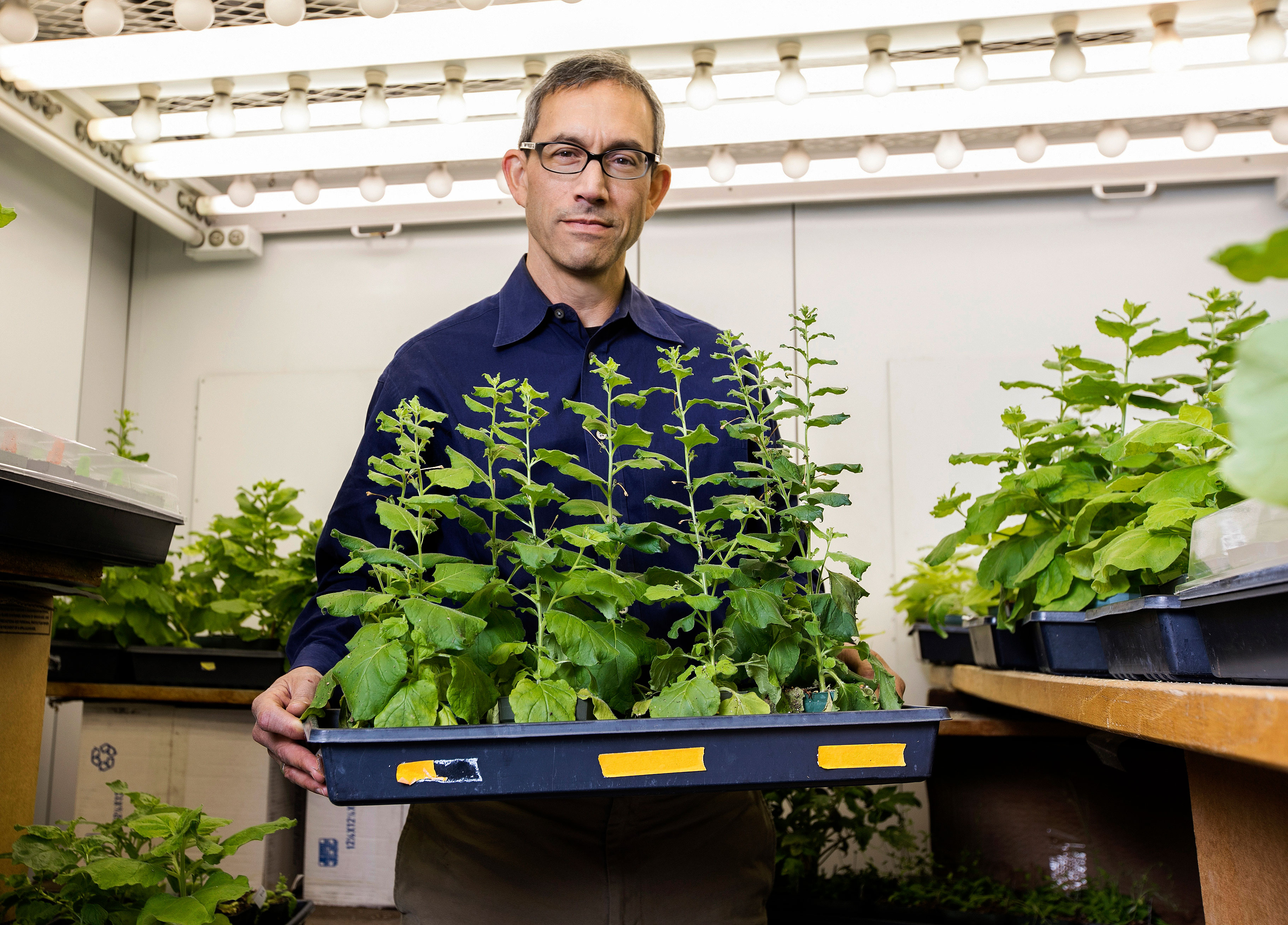 Image of researcher holding research plants
