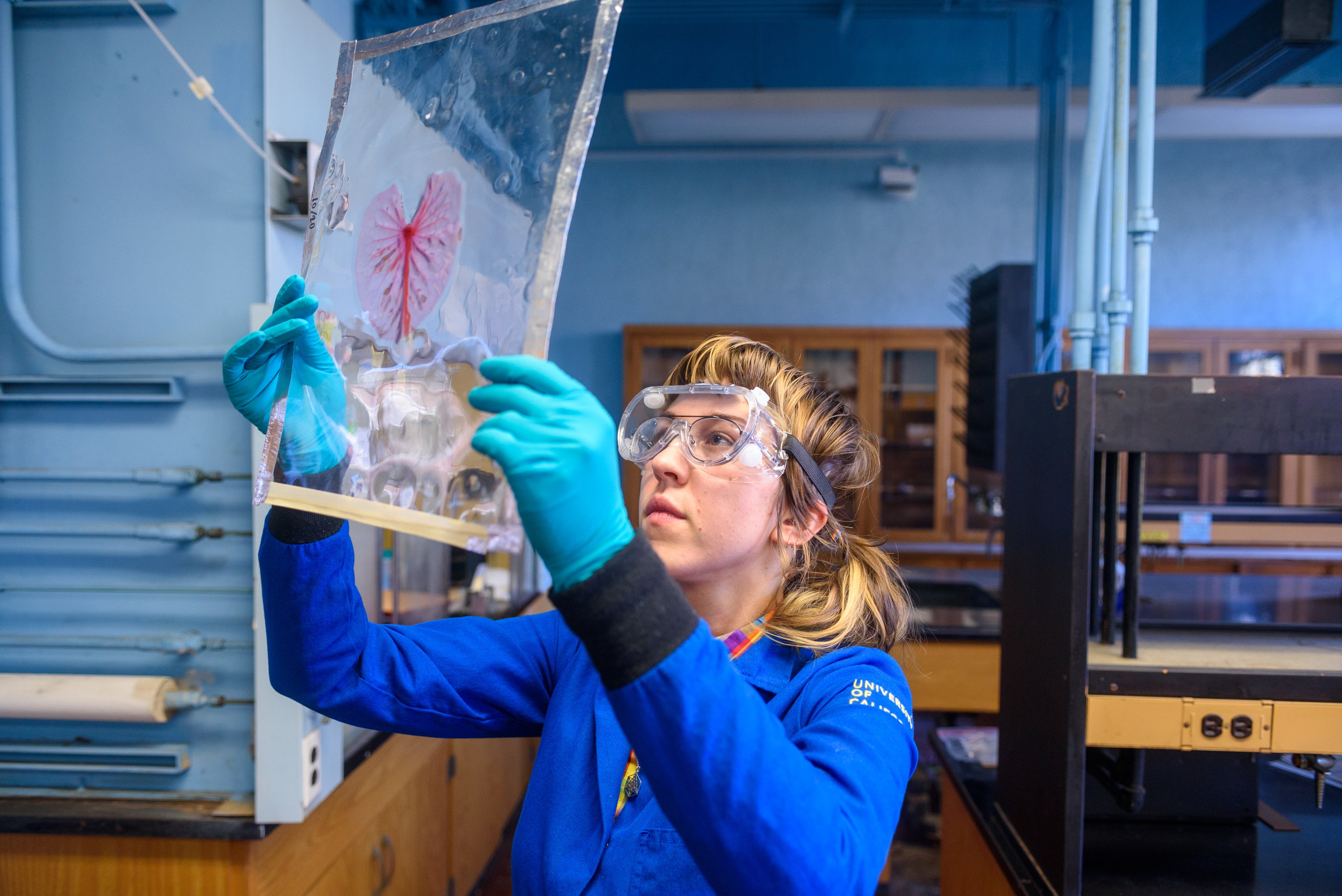 A lab assistant wears a lab coat, goggles, and blue gloves as they hold up a leaf specimen laid out on a large tray.