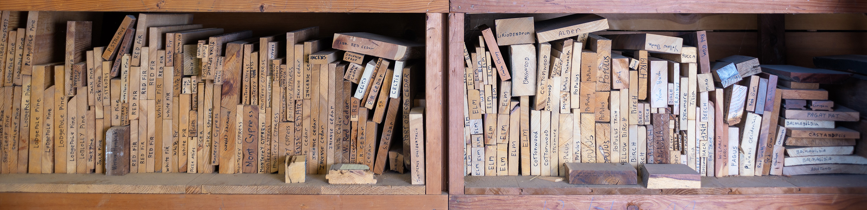 Lots of wood samples on a wooden shelf
