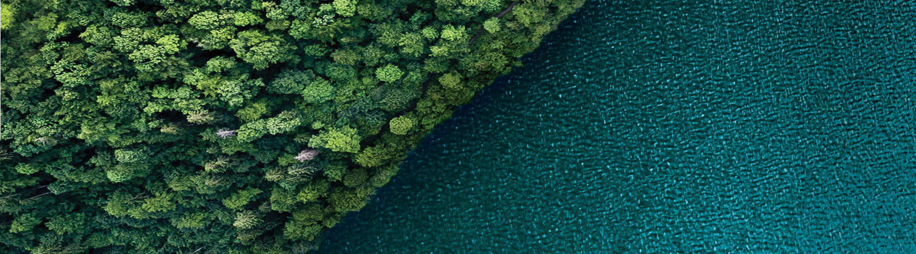 An aerial image of land and water