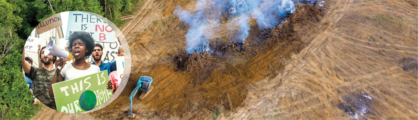 Collage. In the background is deforestation fires. Other circular image is an environmental protest, people are yelling with protest signs.