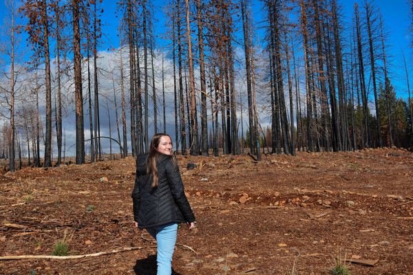 Olah walks in the Dixie fire burn area approximately half a mile from her house. Ashlyn Olah walking through a forest post burn
