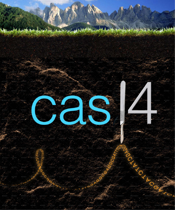 Cas14 image.