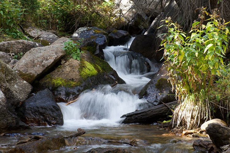 A waterfall