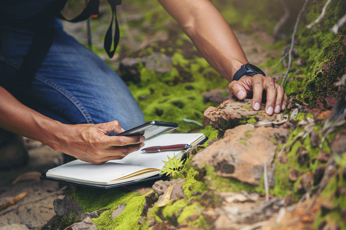 A photo of a person kneeling down in nature, logging a plant observation using a smartphone.