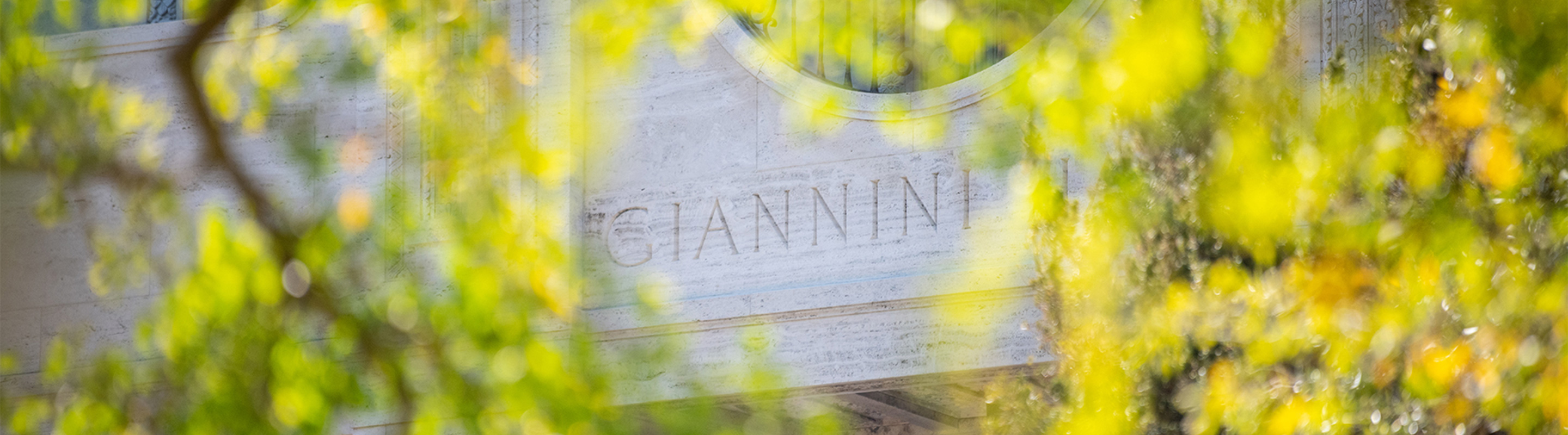 The word Giannini Hall on a building, with an overlay of yellow leaves