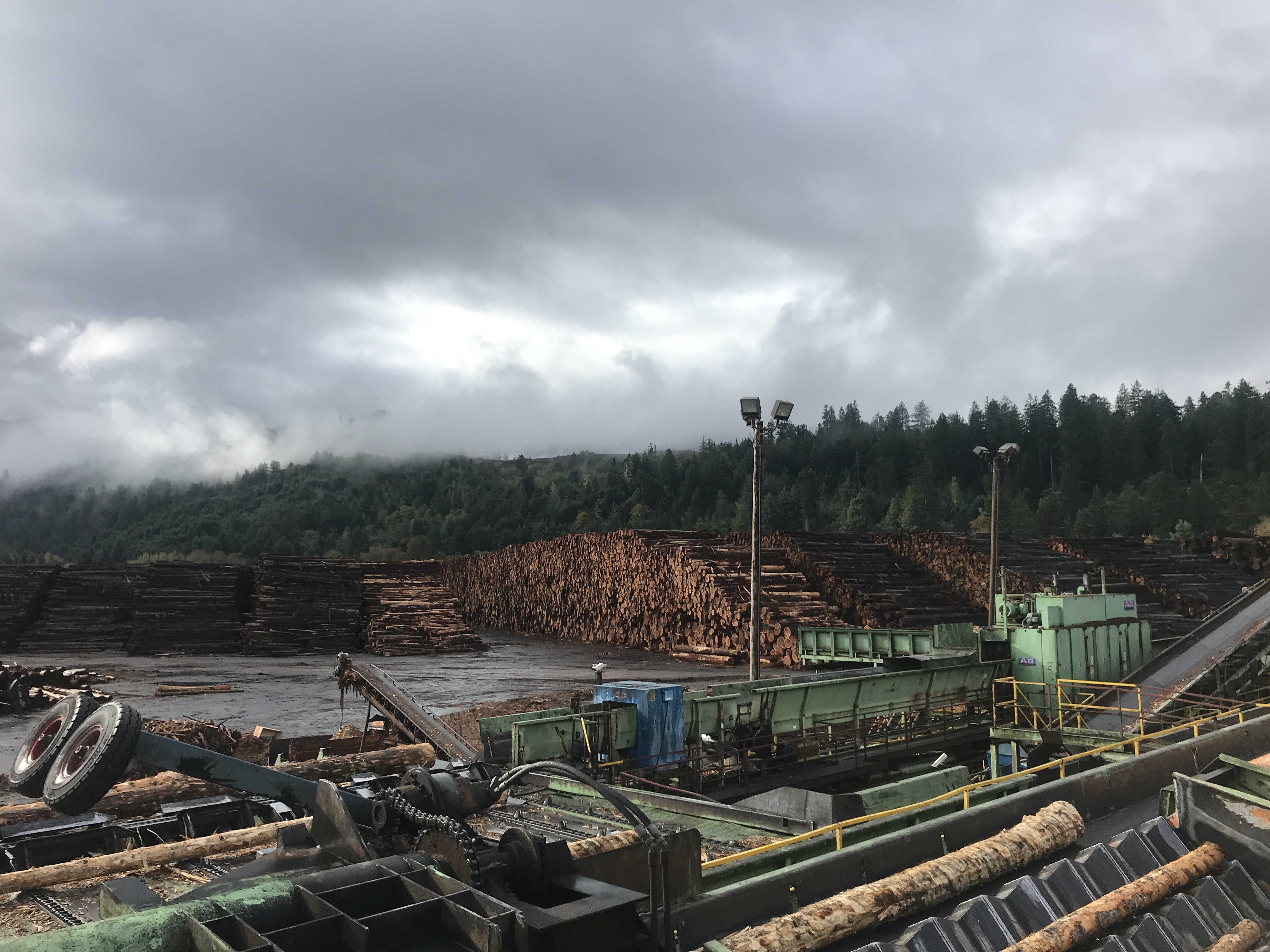 Timber