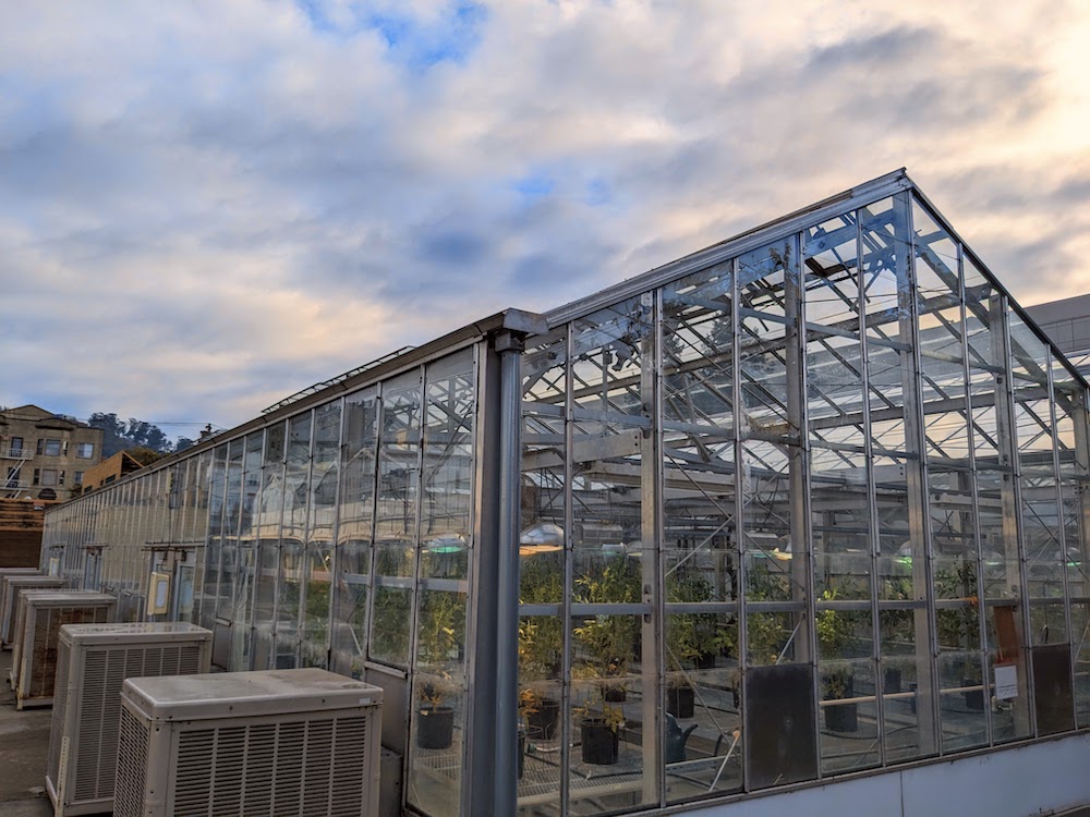 Exterior shot of a greenhouse with plants growing inside.