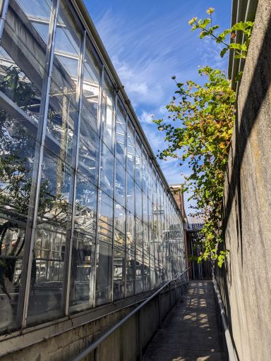 Walkway going up a ramp into a greenhouse