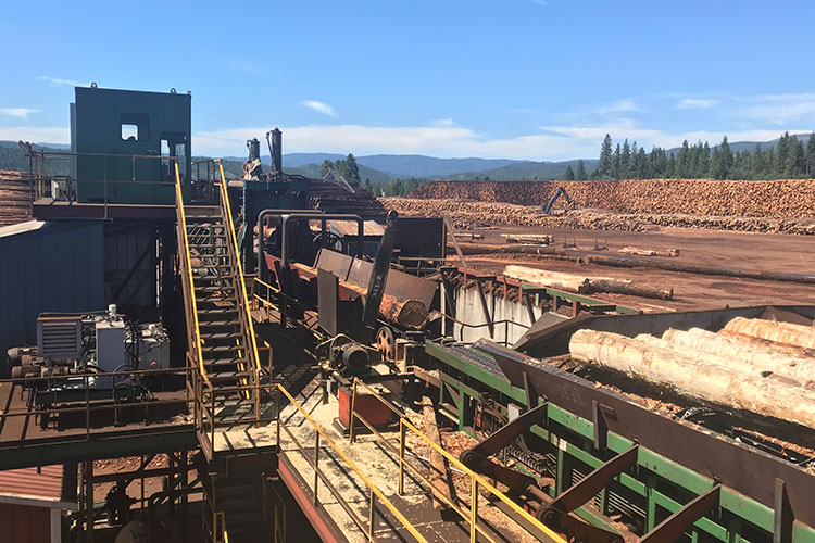 Sawmill