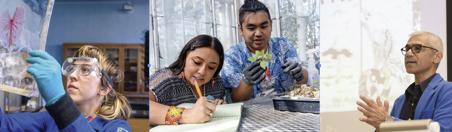 Three images: a person in a lab, two people working in a greenhouse, and a professor lecturing