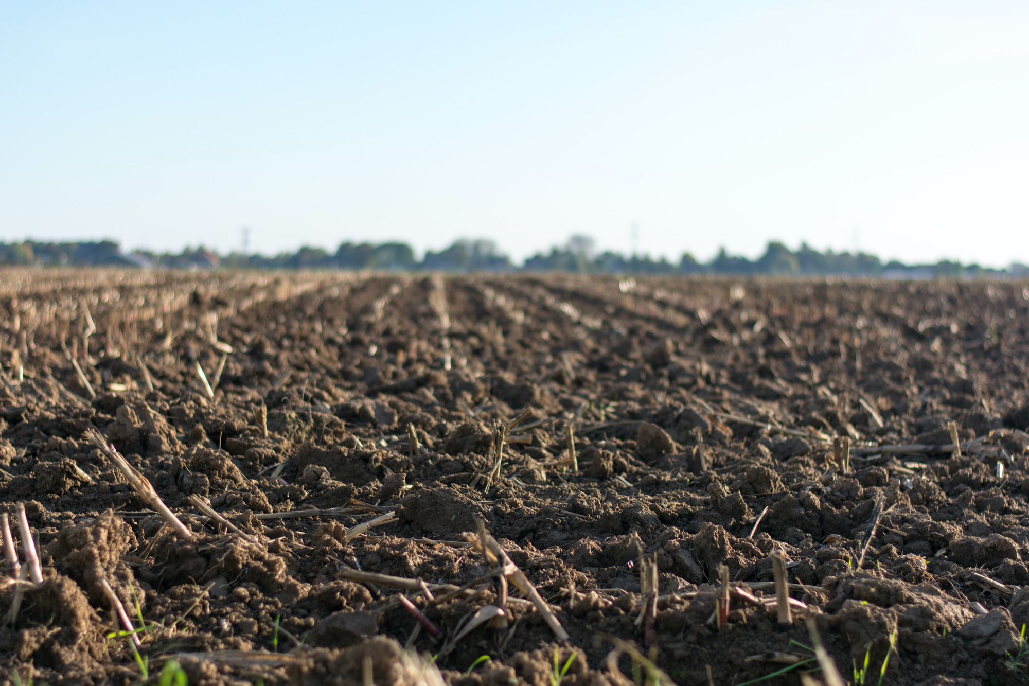 A field of exposed soft soil in the foreground, in the background is a blue sky.