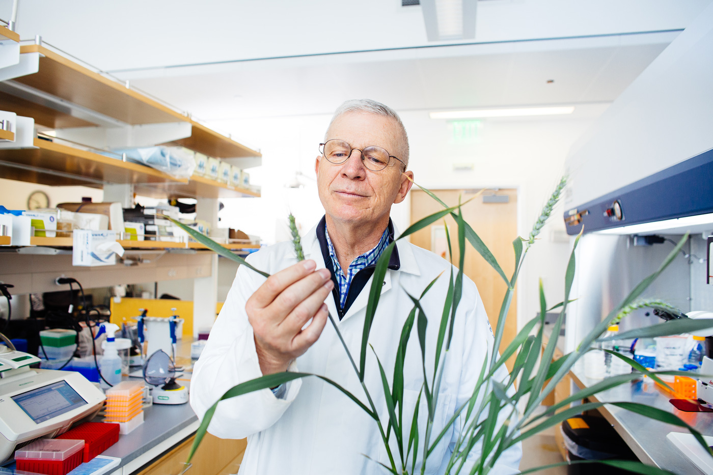 A photo of a man in a lab coat wearing glasses holding a plant leaf