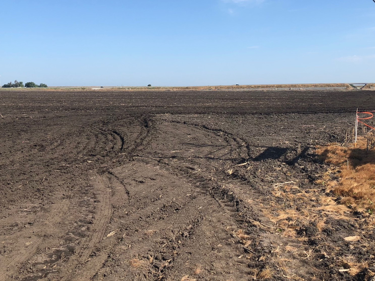 Tilled Field
