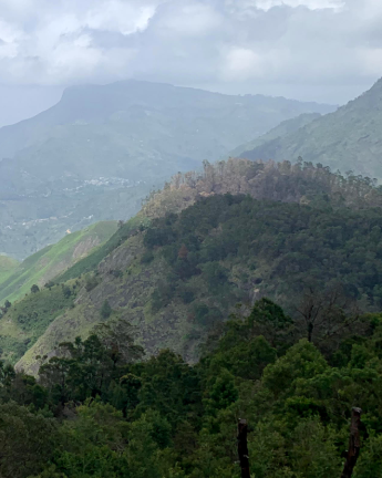 In the foreground, a dense forest canopy. Behind that there is a mountain with the right half covered in trees, and the left have open grass and dirt. A gray mountain is in the distance. Large grey clouds touch the tops of the mountains.