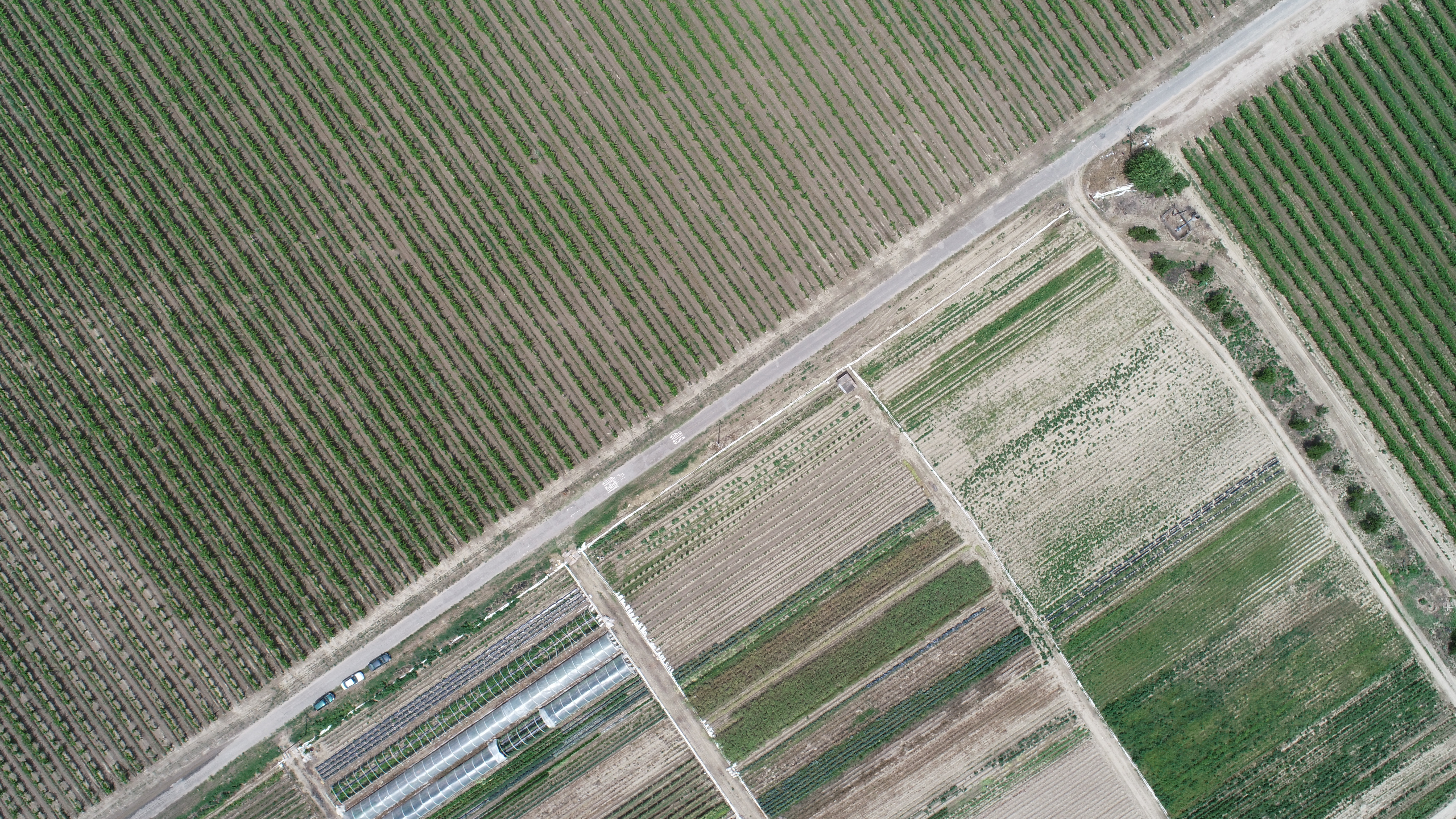 aerial image captured by a drone shows the visual differences between polyculture and monoculture farms
