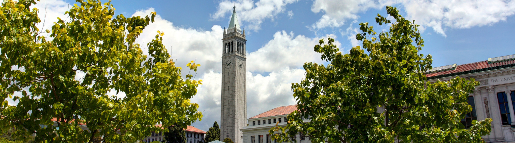 Scene of the campanile on the UC Berkeley campus