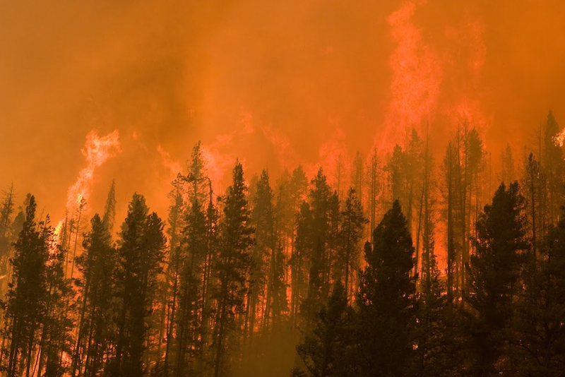 The lightning-sparked Castle Rock Fire burned nearly 50,000 acres in 2007 Castle Rock Fire, 2007, Idaho