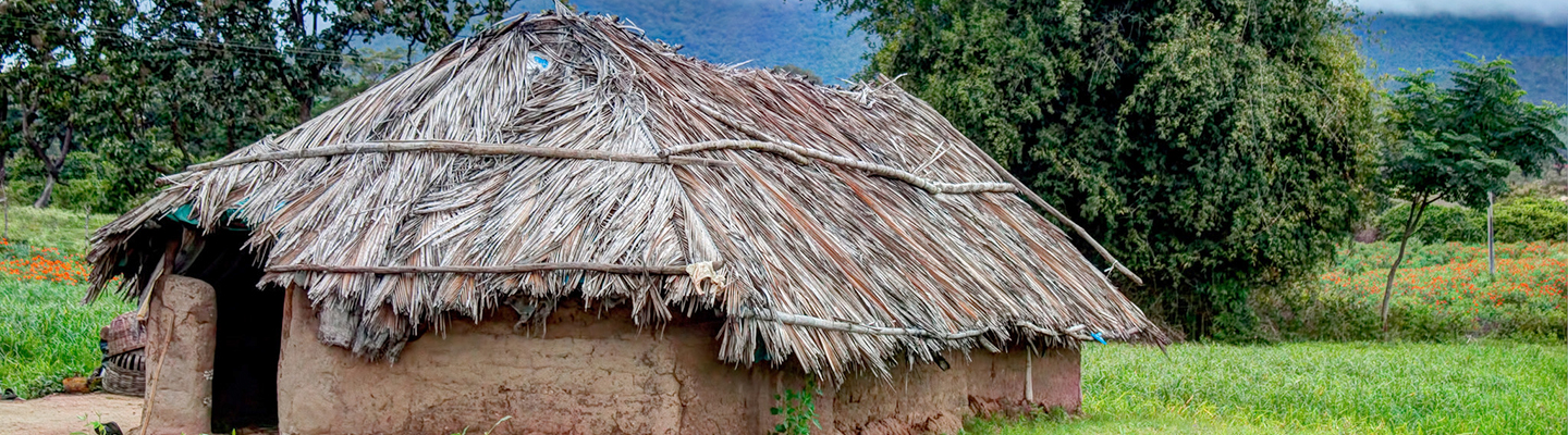 A straw hut