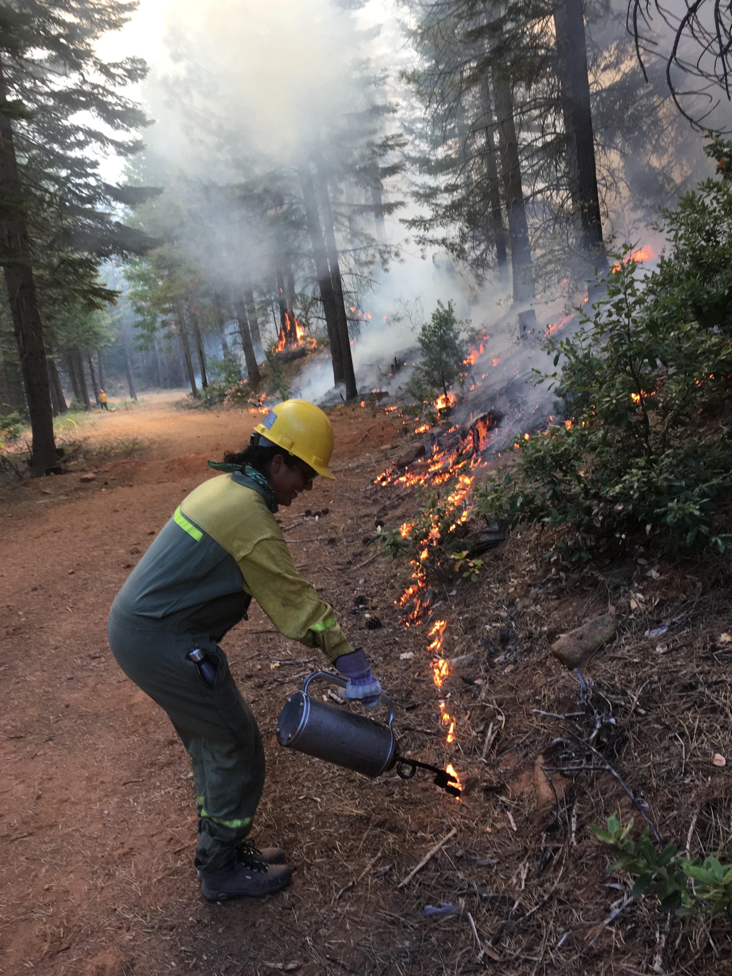Neem Patel setting forest fires Neem Patel setting forest fires