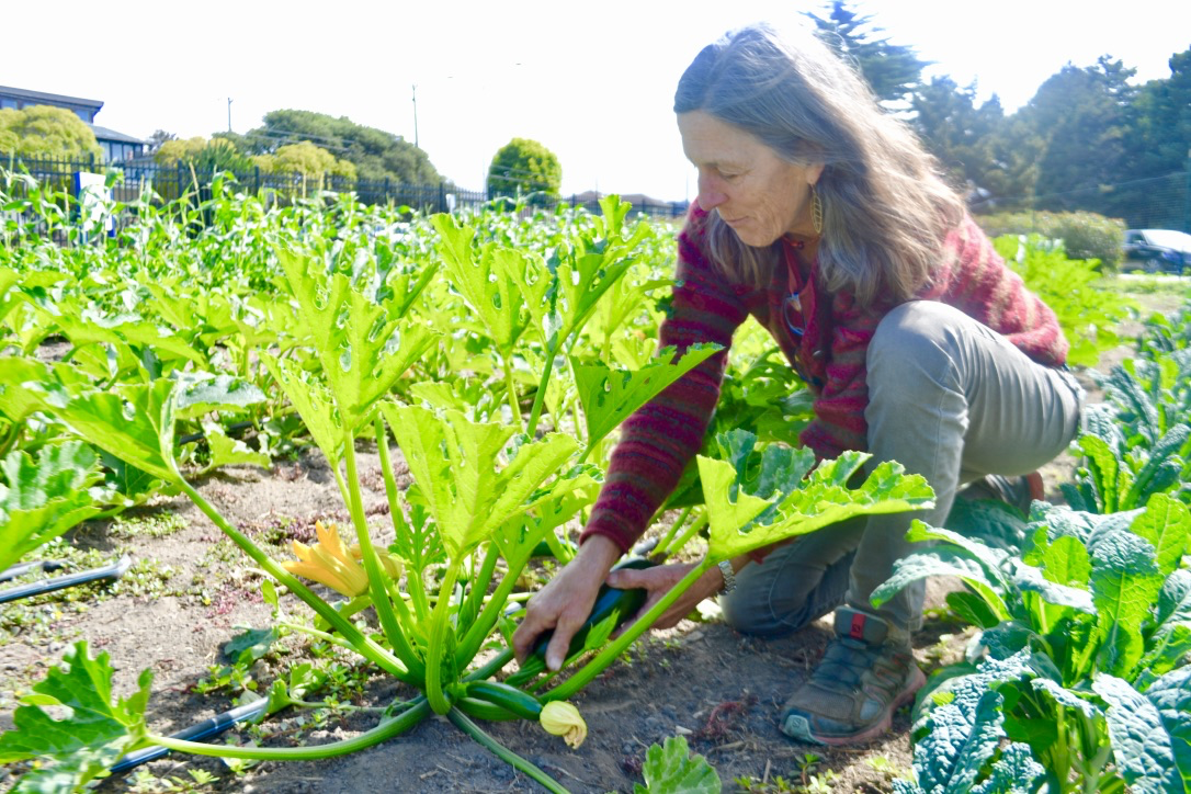 Photo of a woman in a garden.