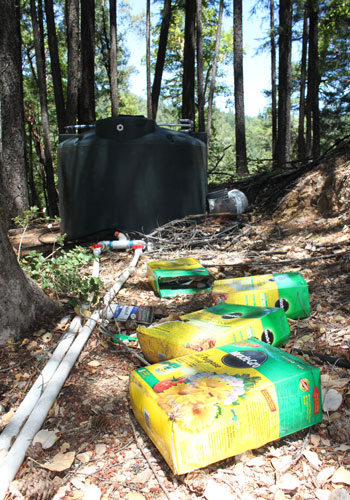 Discarded fertilizer boxes reflect not only how marijuana cultivation is introducing agro-chemicals into sensitive natural landscapes, but also trash and solid waste pollution. Additionally, the water tank and tubing provide evidence of the type of irriga Discarded fertilizer boxes with water tank in the background
