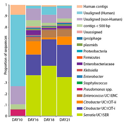 microbe440.jpg