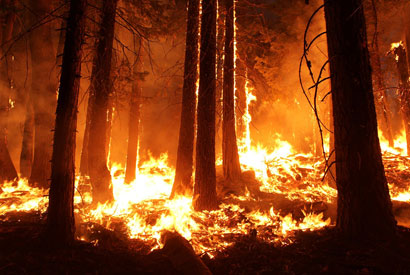 The 2013 Rim Fire, near Yosemite National Park in California The 2013 Rim Fire in California