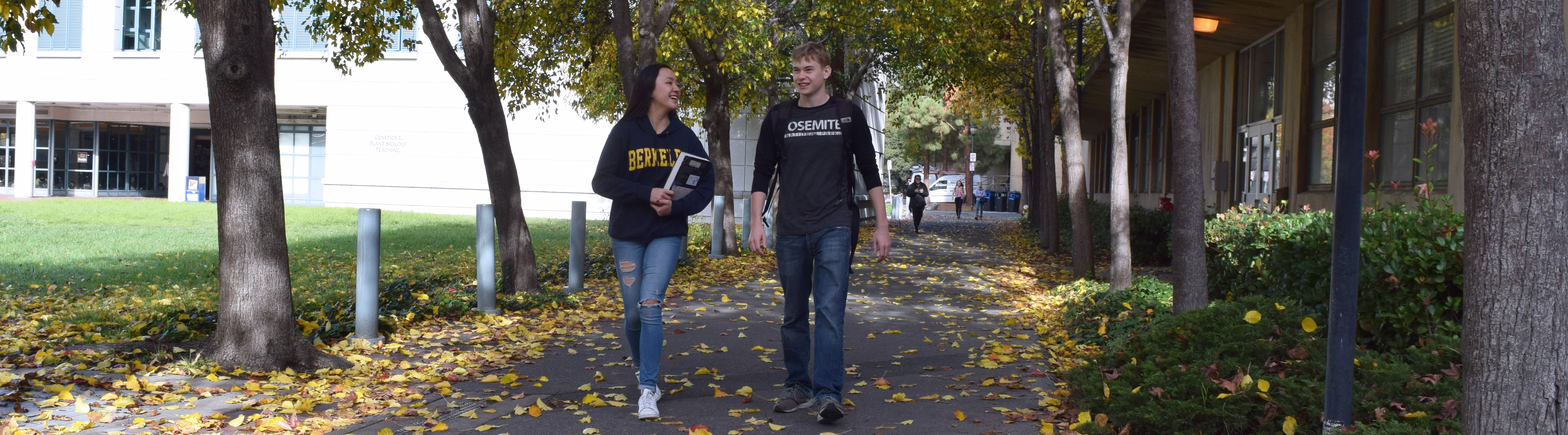 students walking on campus