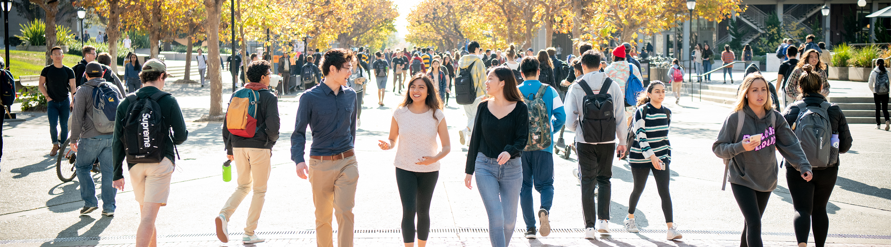 Students walking on campus