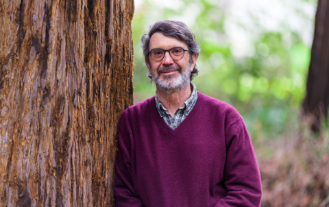 Image of Dennis Baldocchi