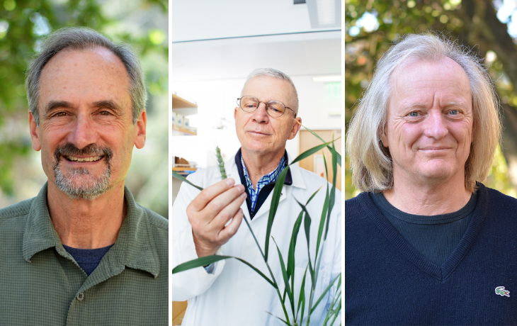 Steve Beissinger, Brian Staskawicz, and Richard Dodd 