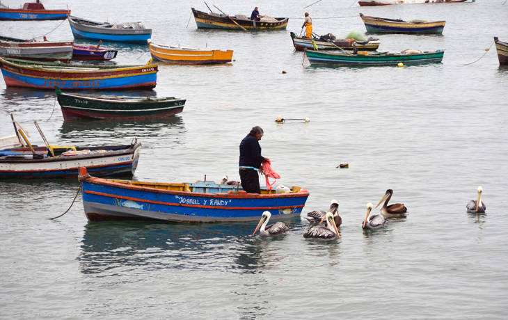 Shot of various fish boats at sea, while an urbanized area full of skyscrapers looms in the distance