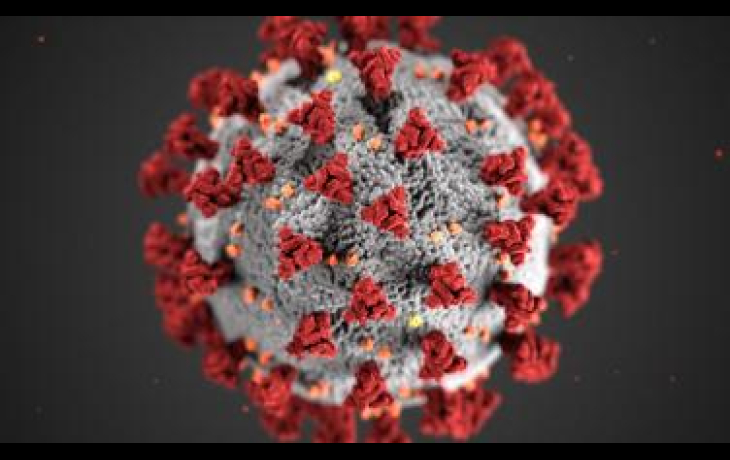 COVID-19 virus