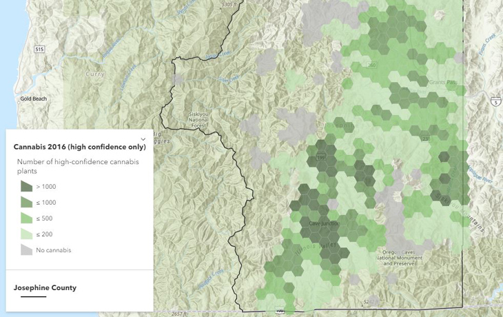Map of number of cannabis populations