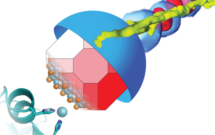 an illustration of bacteria 