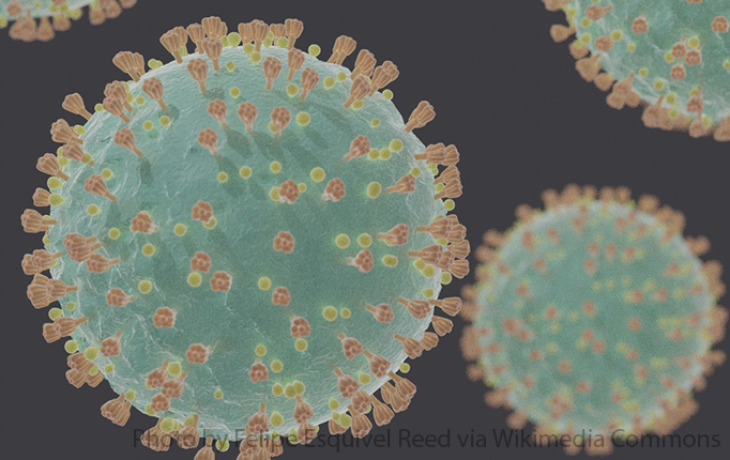 Graphic of SARS coronavirus