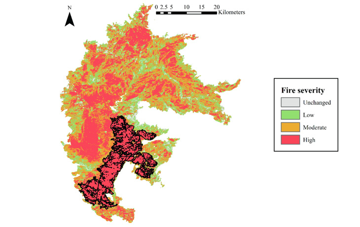 Figure 4 of the academic article mentioned
