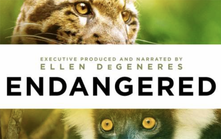 Cover image of documentary Endangered, showing endangered leopard and primate faces
