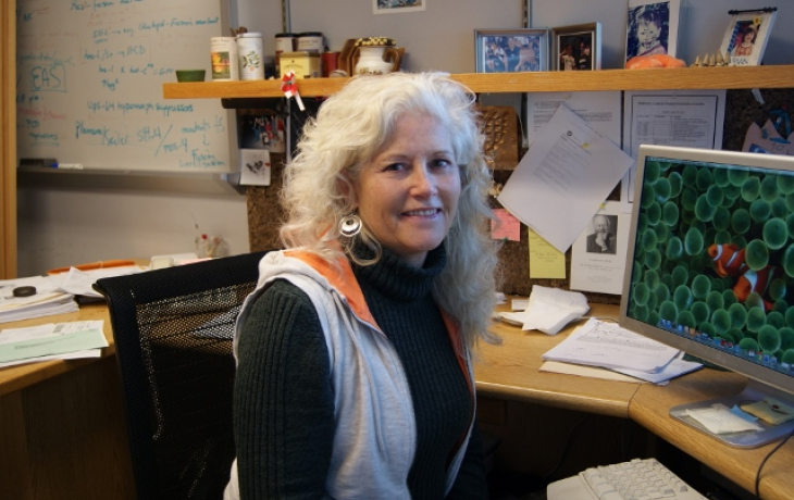 N. Louise Glass