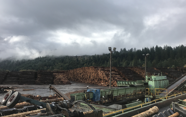 Timber