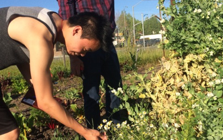 Professor examining farm plant with student