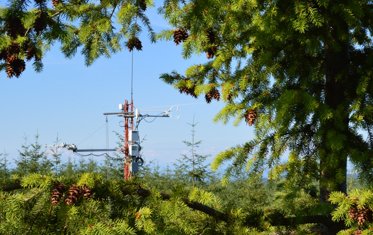 A photo of a metal tower peeking out through tree branches. Photo courtesy of A. Christen, University of British Columbia Geography.