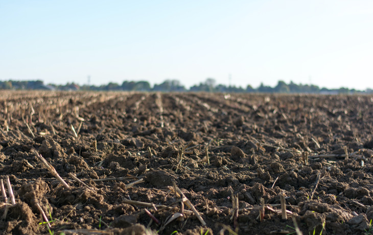 A field of exposed soft soil in the foreground, in the background is a blue sky. 