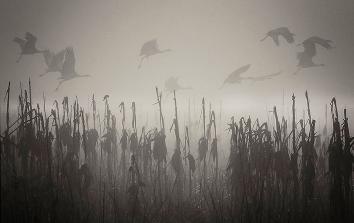 Photo of fog.