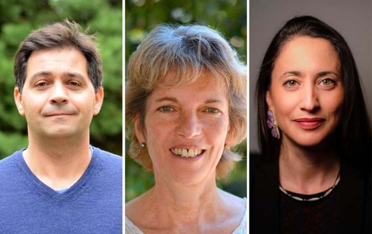 Rodrigo Almeida, Rosemary Gillespie, and Elizabeth Hoover