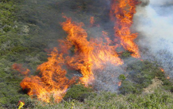 Wildfire and firefighter in foreground