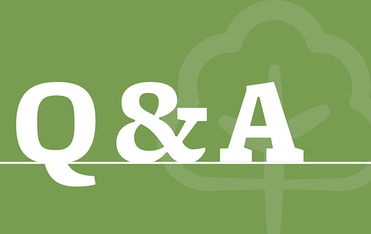 Q&A thumbnail. 
