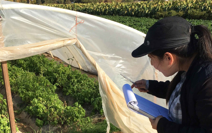 A woman holds a clipboard and looks into a greenhouse