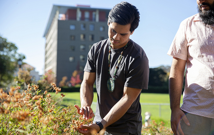 A picture of Alexii Sigona harvesting seeds from a plant.